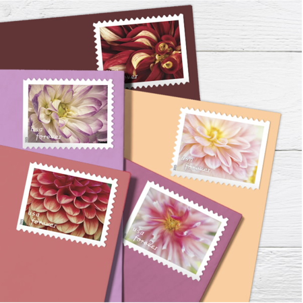 (2025) Dahlias Stamps Book of 20