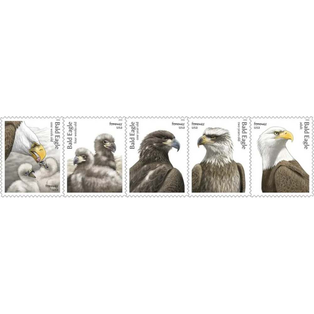 (2026) Bald Eagle: Hatchling to Adult Forever Stamps, Sheet of 20